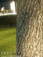 Éva és Anasztázia 1. rész - A parkban - Erotikus képregény - 19. oldal