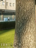Éva és Anasztázia 1. rész - A parkban - Erotikus képregény - 24. oldal