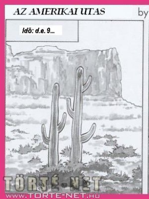 Az amerikai utas - Erotikus képregény - 1. oldal