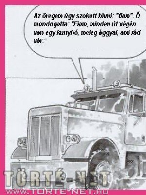 Az amerikai utas - Erotikus képregény - 3. oldal