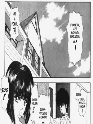 Magányos éjjeli madár - Erotikus képregény