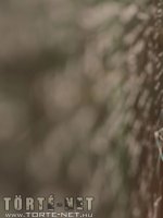 Oktatás - Erotikus képregény - 14. oldal