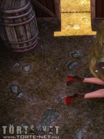 Hőség 2. rész - Erotikus képregény - 48. oldal