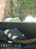 Anna és Theresa - Erotikus képregény - 13. oldal