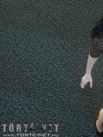 Anna és Theresa - Erotikus képregény - 48. oldal