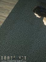 Anna és Theresa - Erotikus képregény - 83. oldal