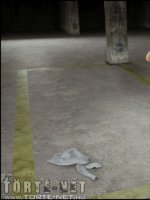 Dickgirls 7. rész - Skyla és Sara - Erotikus képregény - 10. oldal