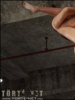 Dickgirls 7. rész - Skyla és Sara - Erotikus képregény - 17. oldal