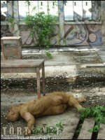 A város alatt 1. rész - Erotikus képregény - 101. oldal