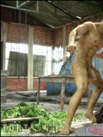 A város alatt 1. rész - Erotikus képregény - 21. oldal