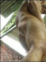 A város alatt 1. rész - Erotikus képregény - 41. oldal