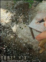 A város alatt 1. rész - Erotikus képregény - 55. oldal