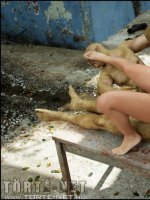 A város alatt 1. rész - Erotikus képregény - 81. oldal