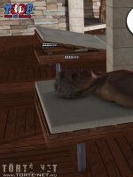 Nem! Ez nem kéne! - Erotikus képregény - 59. oldal