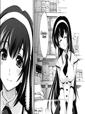 Felnőtt játékok boltja 1. rész - Erotikus képregény