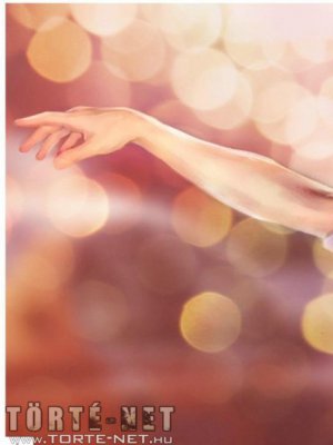 Nicole Heat - Anális élmények