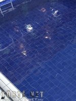 Csobbanás 1. rész - Erotikus képregény - 38. oldal