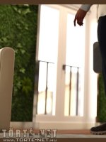 A vízvezetékszerelő 1. rész - Erotikus képregény - 43. oldal