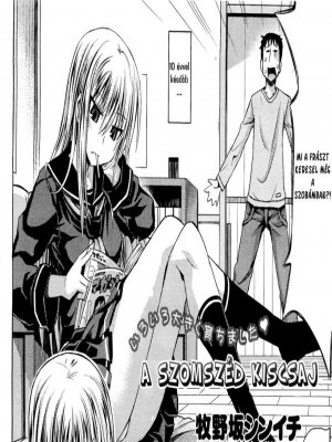 A szomszéd kiscsaj - Erotikus képregény