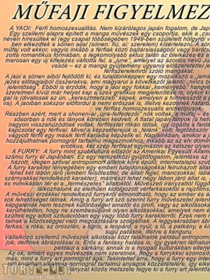 Yaoi - Furry Kalandok 3. rész - Karácsonyi Ajándék - Erotikus képregény