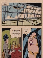 A háziasszony és az utolsó őrült náci tudós - Erotikus képregény - 6. oldal