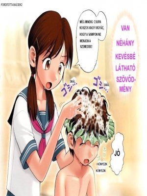 Mosás - Erotikus képregény