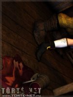 Groknar 1. rész - A Fogadóban - Erotikus képregény - 12. oldal