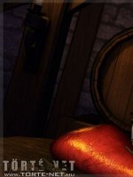 Groknar 1. rész - A Fogadóban - Erotikus képregény - 16. oldal