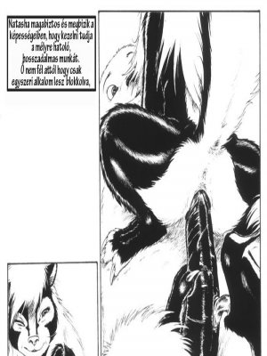 Teljesítmény vizsgálat - Erotikus képregény