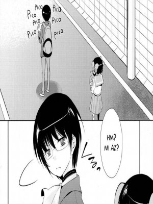 Az ikrek naplója - Erotikus képregény