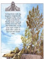 Barbár találkozások - Erotikus képregény - 5. oldal Barbár találkozások - Erotikus képregény - 5. oldal