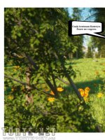 Legend of the Anaria - Erotikus képregény - 12. oldal Legend of the Anaria - Erotikus képregény - 12. oldal