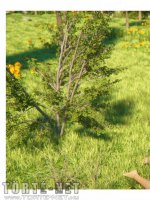 Legend of the Anaria - Erotikus képregény - 39. oldal Legend of the Anaria - Erotikus képregény - 39. oldal