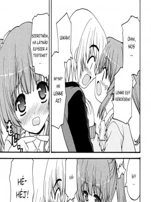 Az első nagy terv - Erotikus képregény