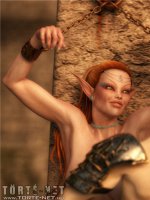 A megmentésre váró elf - Erotikus képregény - 14. oldal