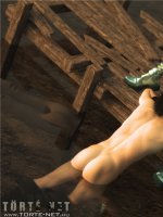 A megmentésre váró elf - Erotikus képregény - 27. oldal